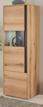 Vitrine Center in Evoke Eiche und grau Vitrinenschrank 50 x 155 cm