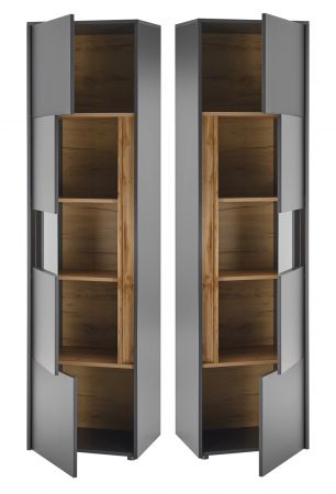 Aktenschrank Center in grau matt und Wotan Eiche Vitrine fr Homeoffice und Bro 50 x 200 cm