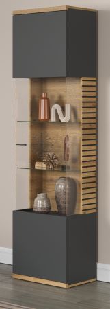 Vitrine Norris in grau und Evoke Eiche Wohn- und Esszimmer Vitrinenschrank mit Soft-Close 51 x 205 cm